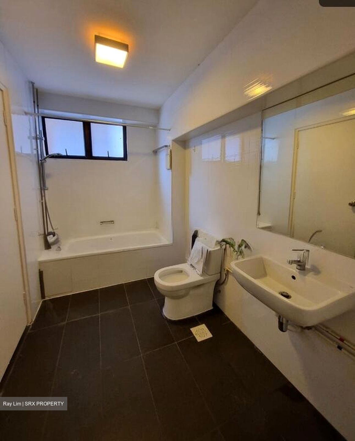 The Cairnhill (D9), Condominium #508925011